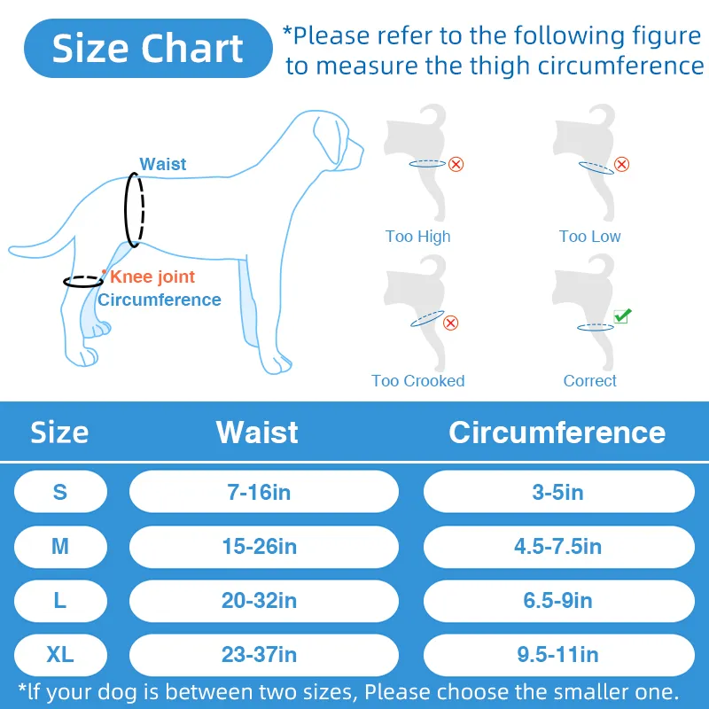 Dog Leg Braces For Hip Dysplasia