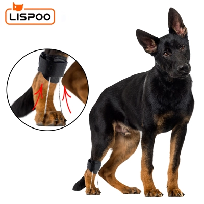 Dog NO-Knuckling Training Brace 01