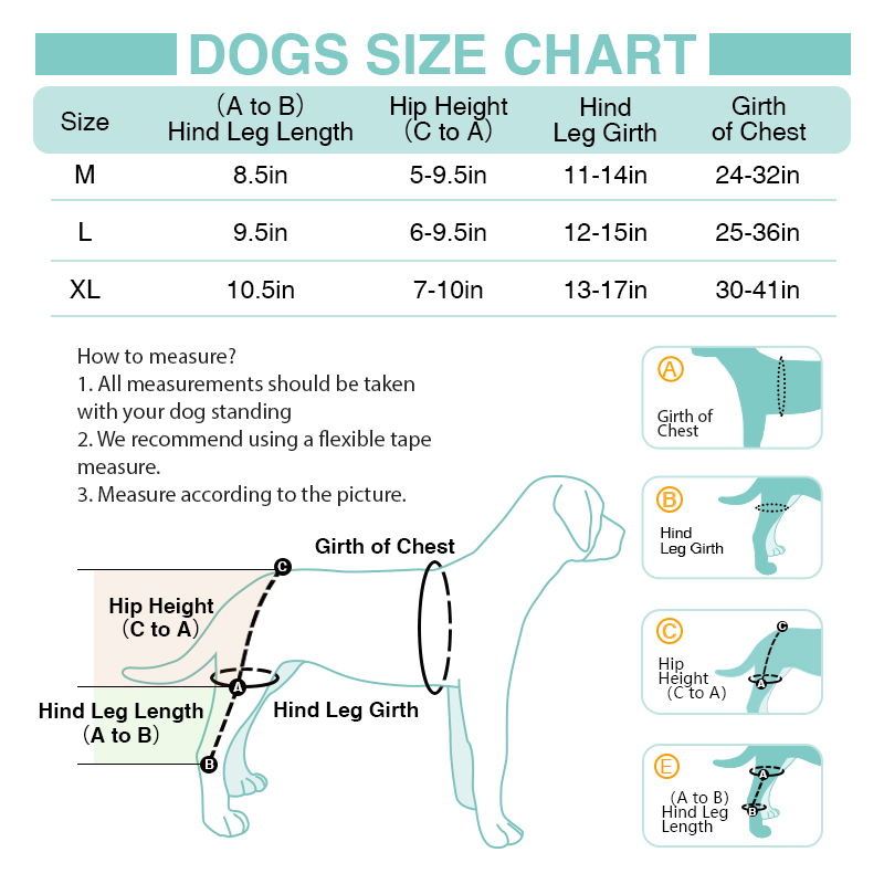 LISPOO Dog ACL Knee Braces