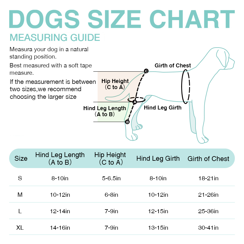 Lispoo Dog Double Hind Leg Brace for ACL Tear