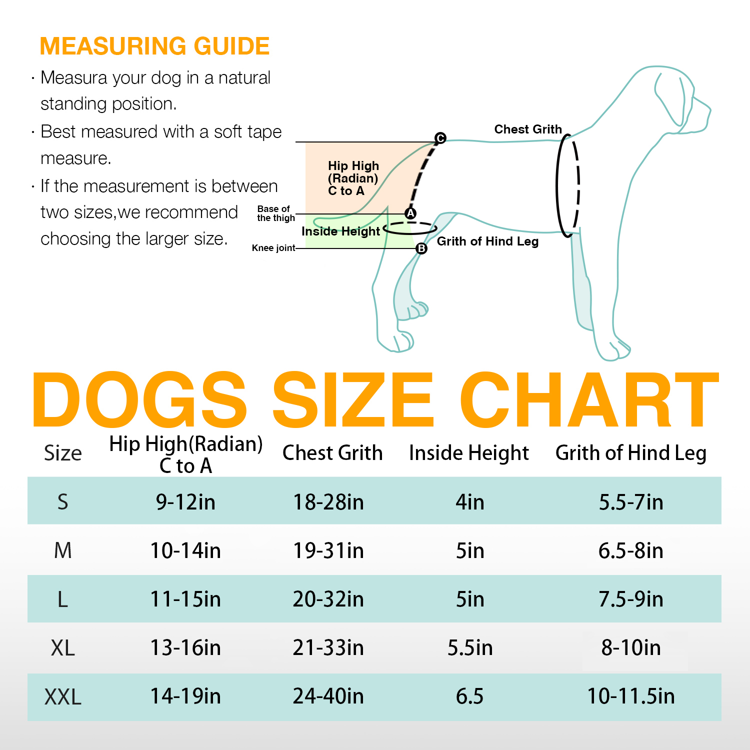 LISPOO Dog Hip Brace with Handle