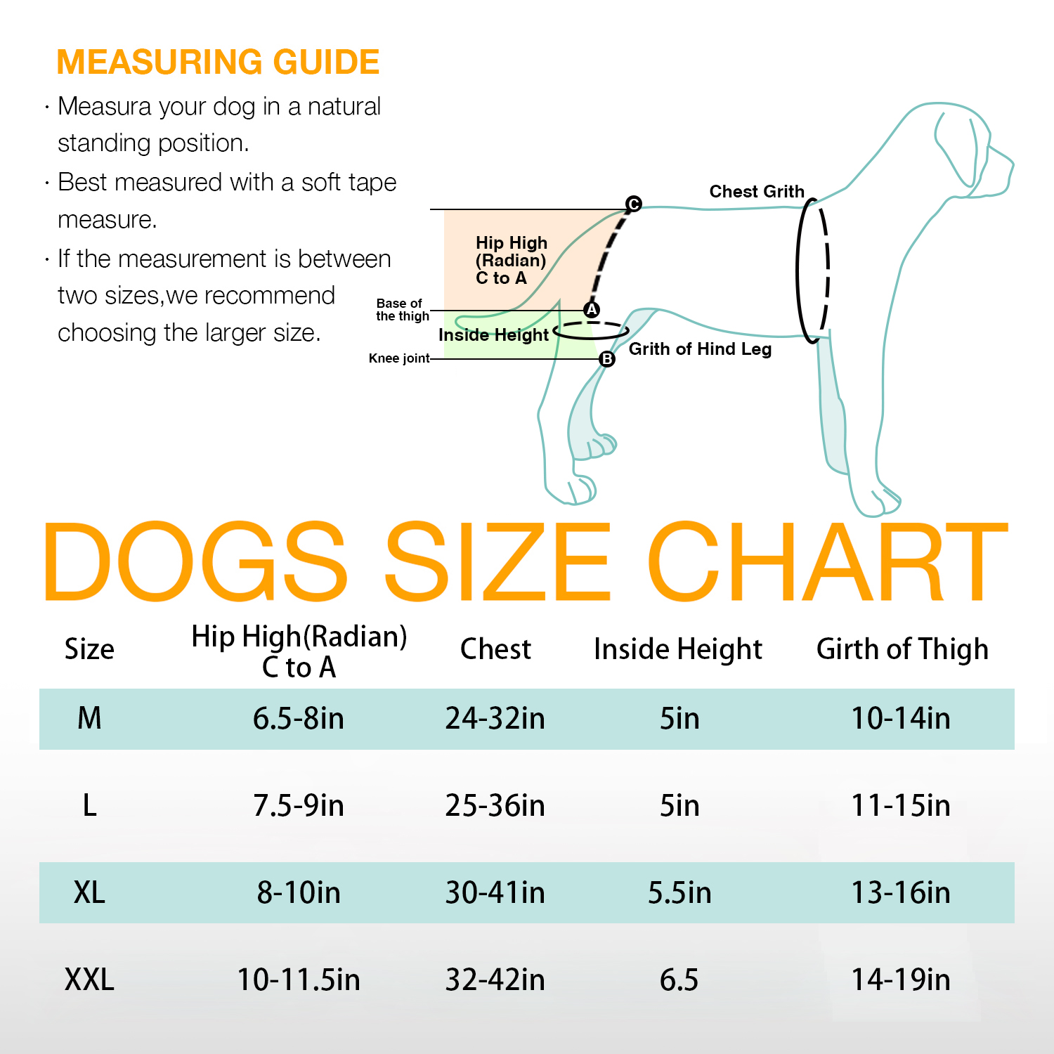 LISPOO Dog Hip Dysplasia Brace with Handle