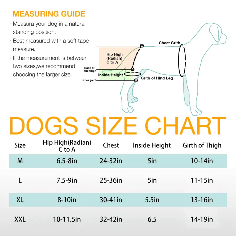 LISPOO Dog Hip Dysplasia Brace with Handle