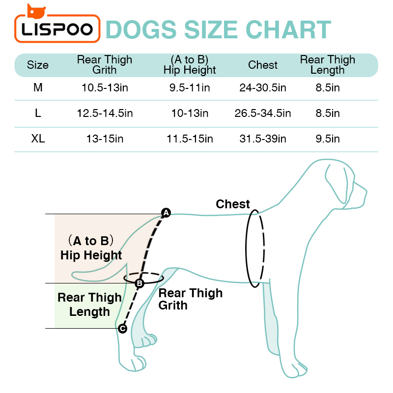 LISPOO Dog Knee ACL Brace With Metal Splint Hinged Flexible Support