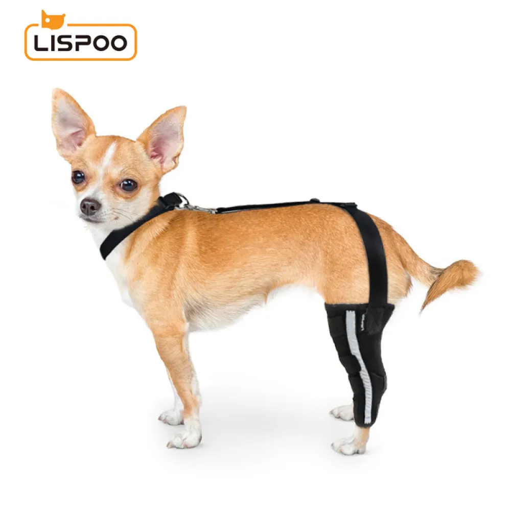 Chihuahua Leg Brace with Reflective Metal Support