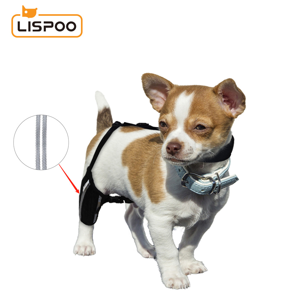 Chihuahua Leg Brace with Reflective Metal Support