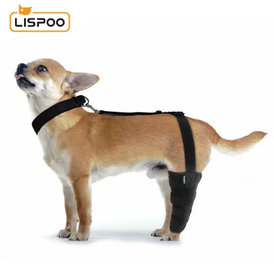 Chihuahua Luxating Patella Dog Brace 01
