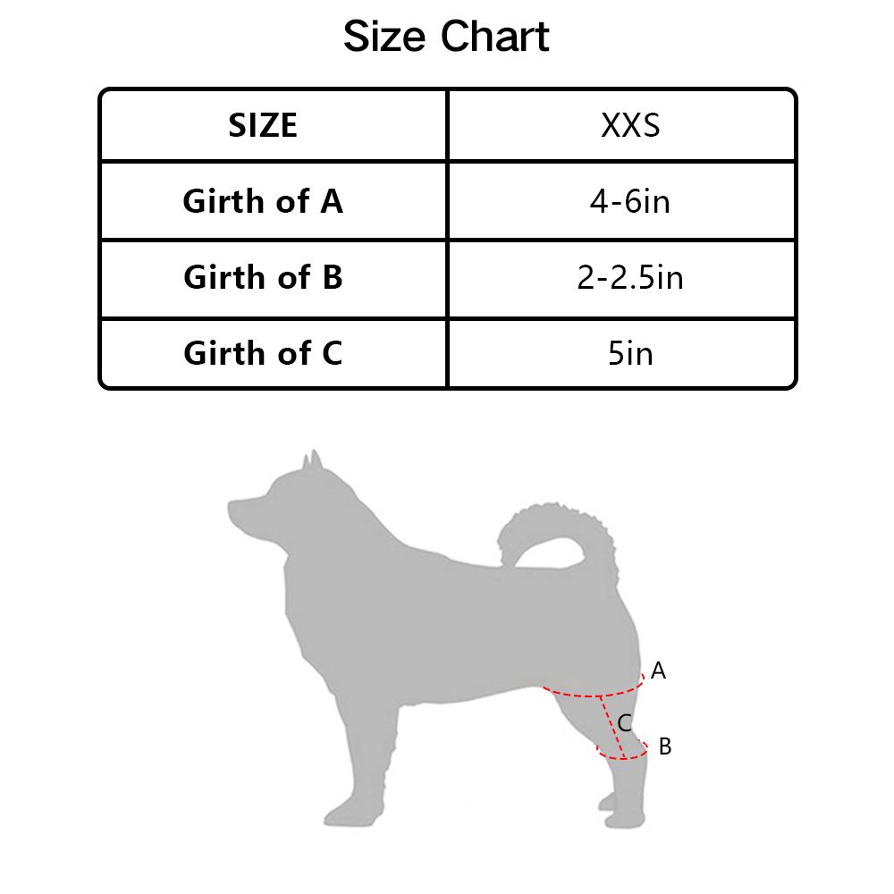 Chihuahua Luxating Patella Dog Brace