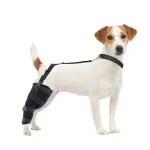 Dog Knee Braces For Back Legs