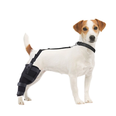Dog Knee Braces For Back Legs 01