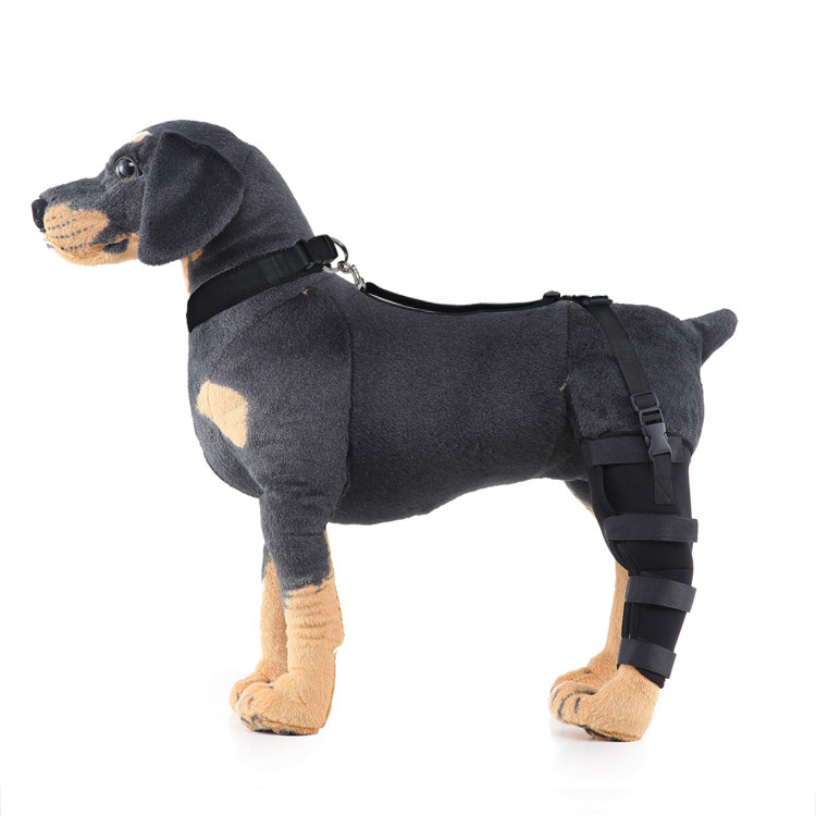 Dog Knee Braces For Back Legs