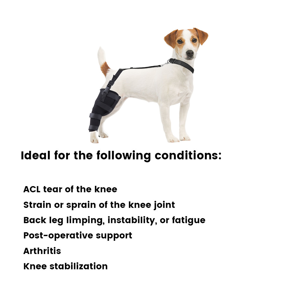 Dog Knee Braces For Back Legs