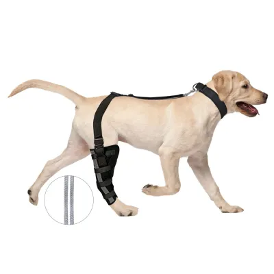 Dog Leg Brace with Reflective Metal Support 01