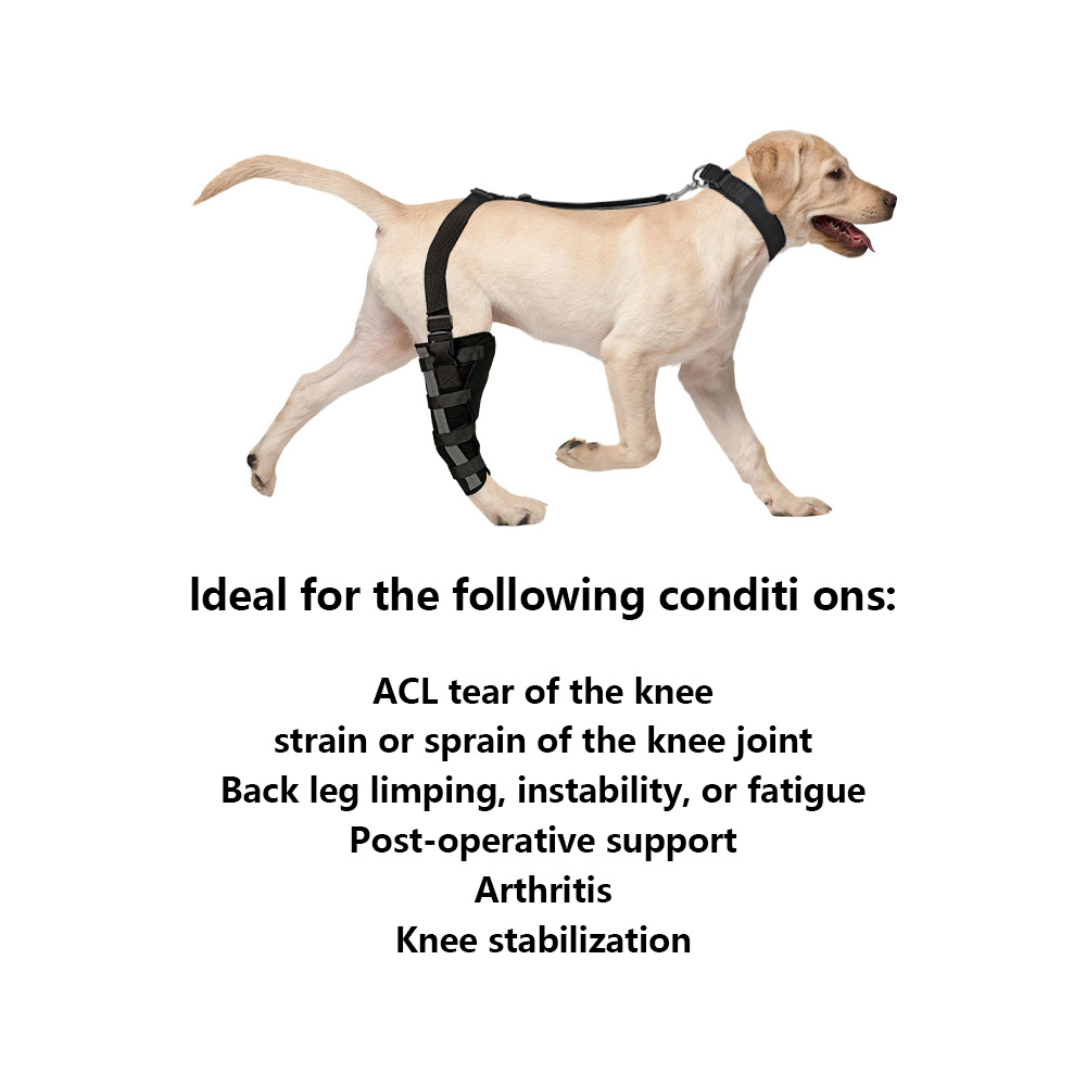 Dog Leg Brace with Reflective Metal Support