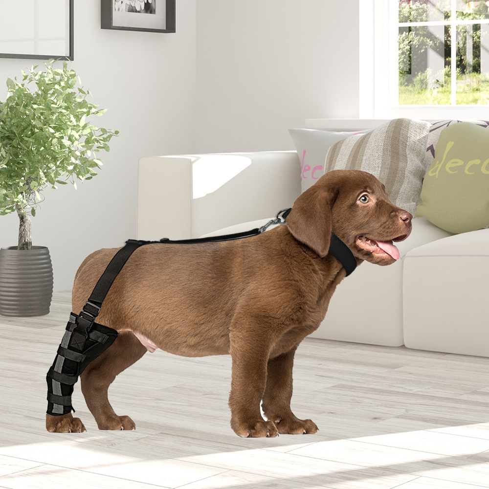 Dog Leg Brace with Reflective Metal Support