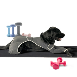 Dog Four Leg Sleeves for Preventing Licking with Yoga fabric