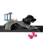 Dog Four Leg Sleeves for Preventing Licking with Yoga fabric