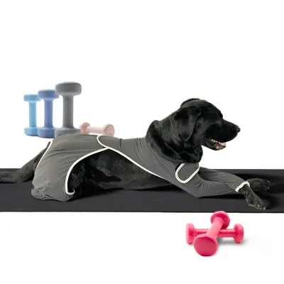 Dog Four Leg Sleeves for Preventing Licking with Yoga fabric 01