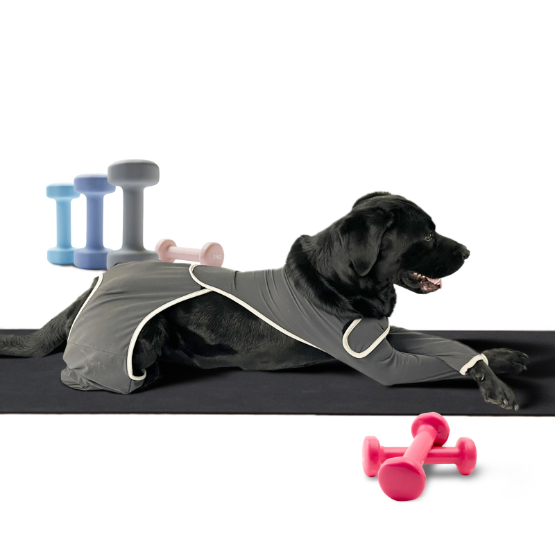 Dog Four Leg Sleeves for Preventing Licking with Yoga fabric