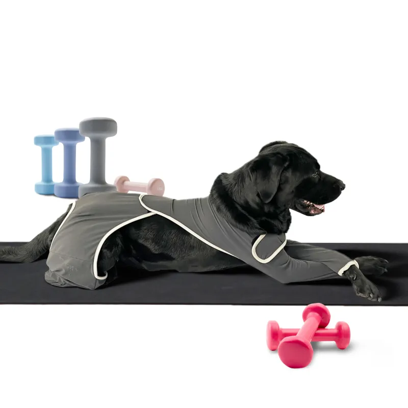 Dog Four Leg Sleeves for Preventing Licking with Yoga fabric