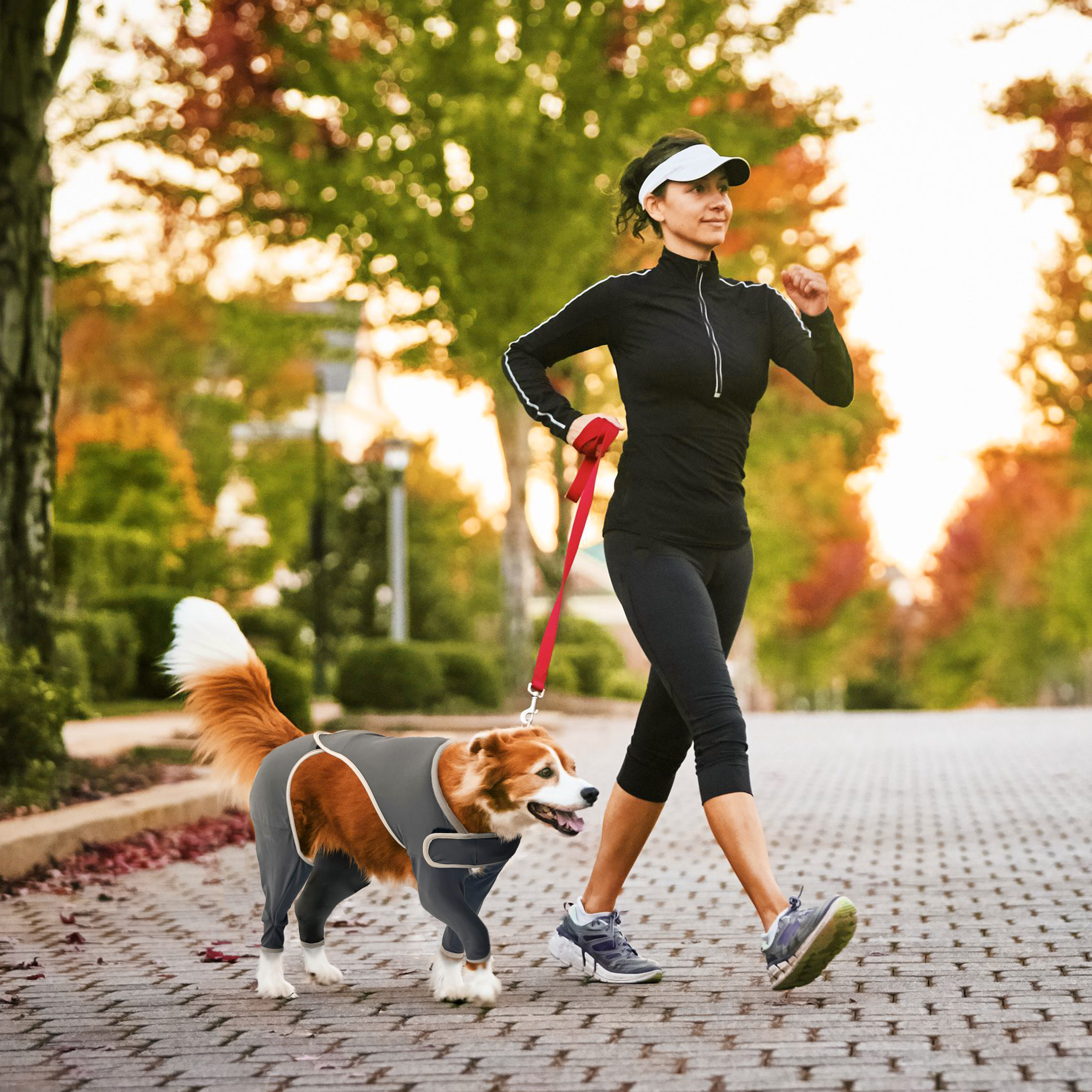 Dog Four Leg Sleeves for Preventing Licking with Yoga fabric