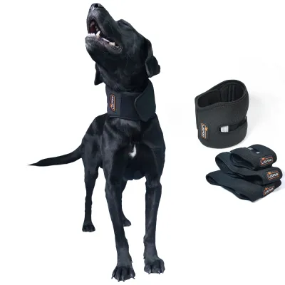 LISPOO Dog Neck Brace for Herniated Disc 01
