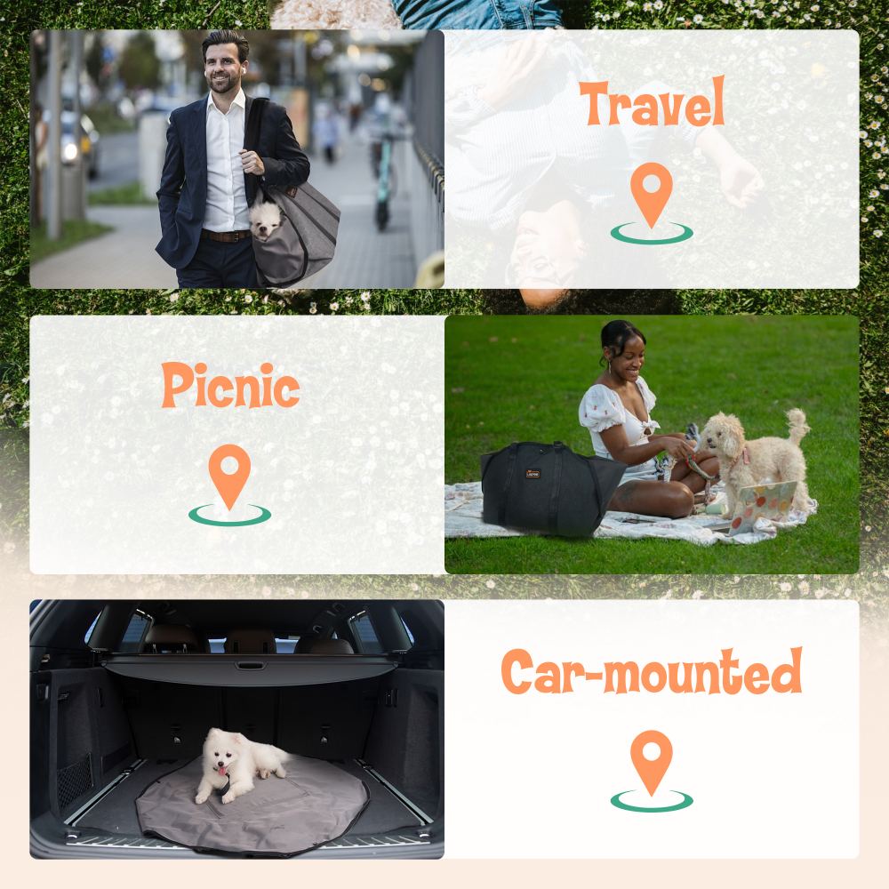 Pet Carrier Purse for Small Dogs and Cats