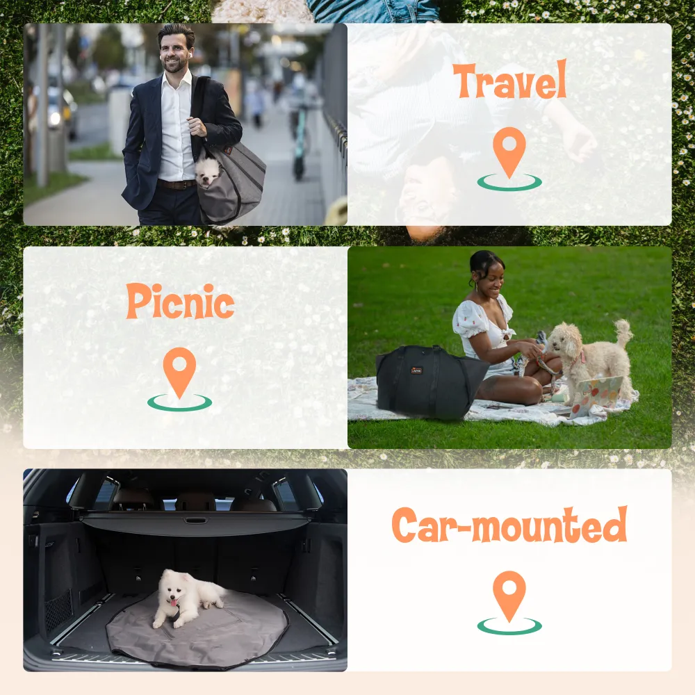 Pet Carrier Purse for Small Dogs and Cats