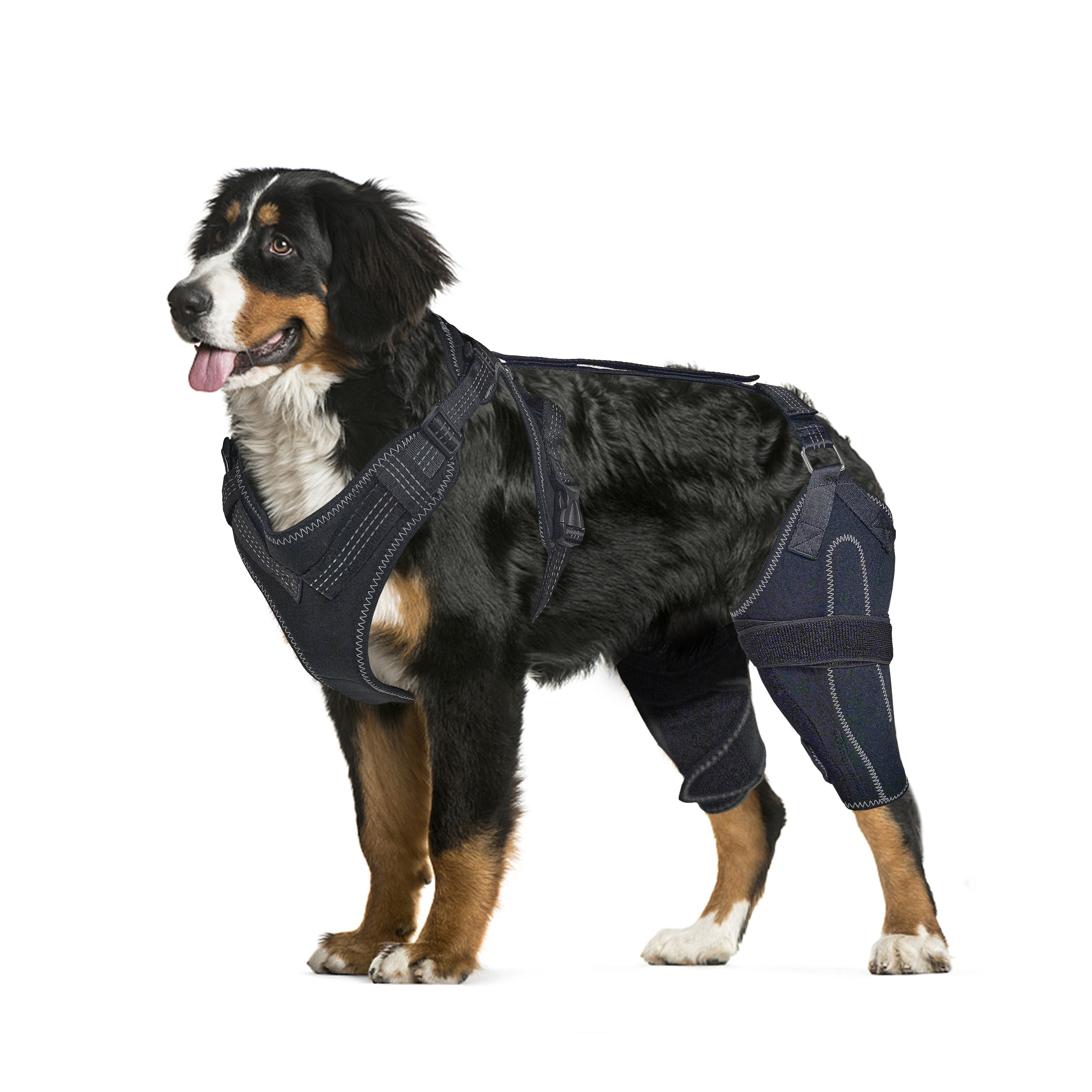 LISPOO Dog ACL Knee Braces