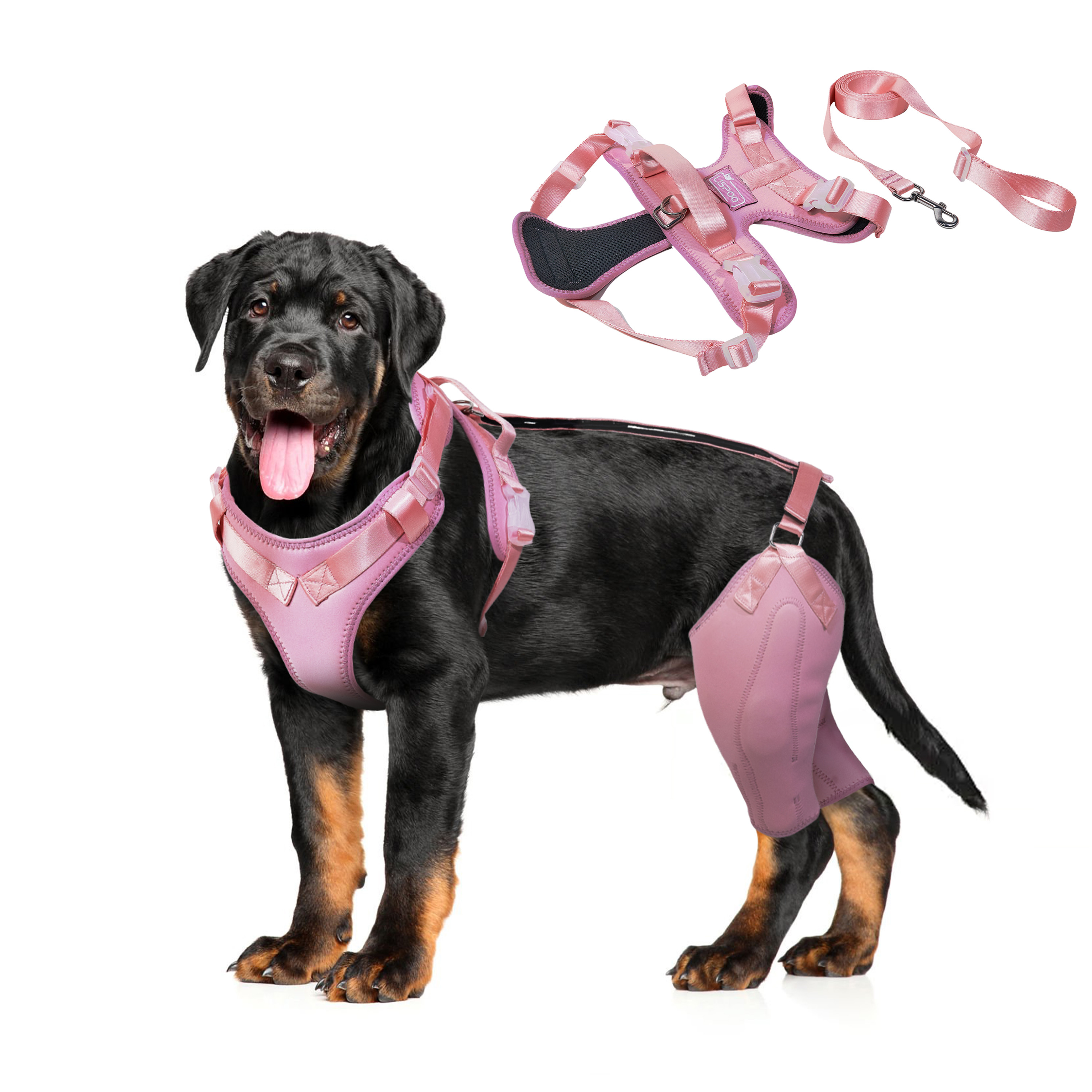 LISPOO Dog ACL Knee Braces
