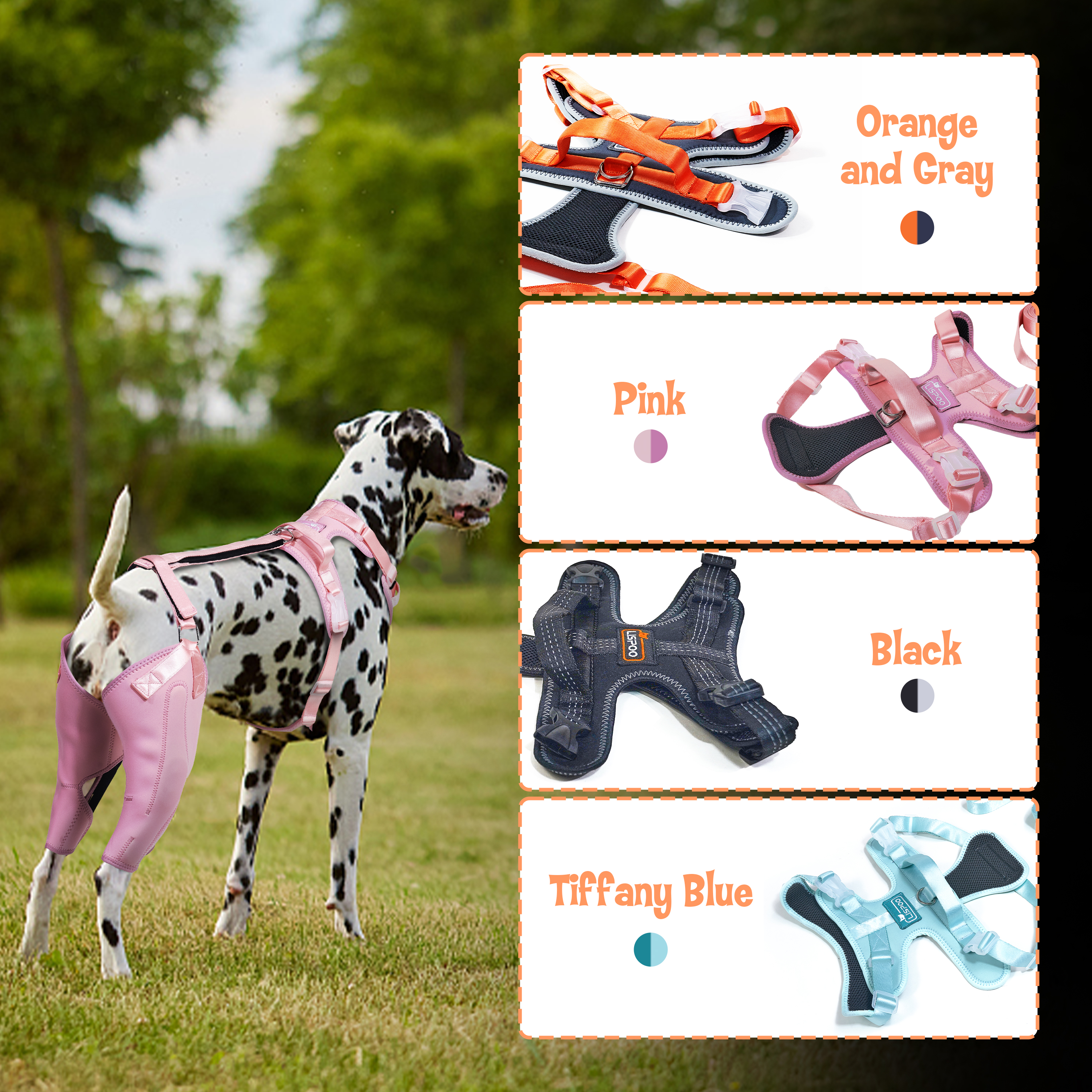 LISPOO Dog ACL Knee Braces