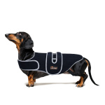 Dog Back Brace for IVDD with Reflective Design