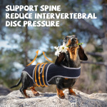 Dog Back Brace for IVDD with Reflective Design