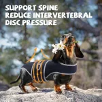 Dog Back Brace for IVDD with Reflective Design