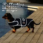 Dog Back Brace for IVDD with Reflective Design