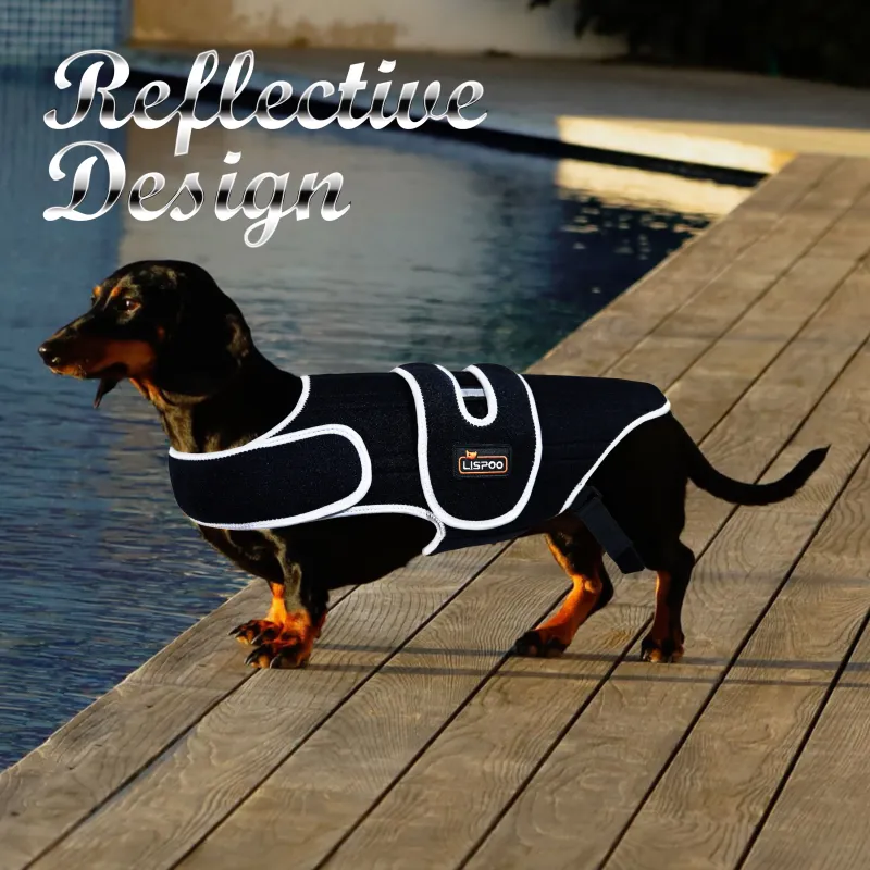 Dog Back Brace for IVDD with Reflective Design