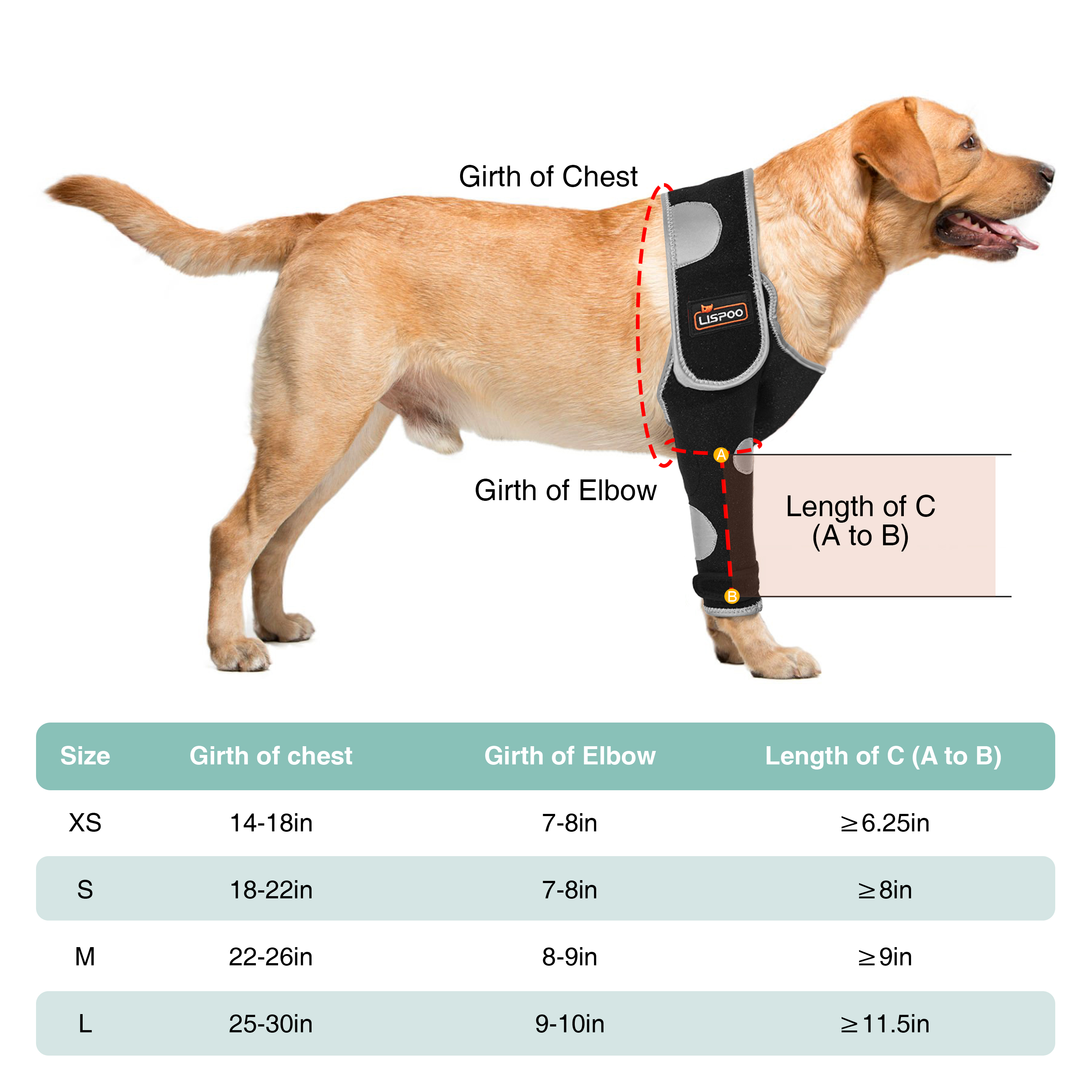 Dog Single Leg Sleeves For Prevent Licking with Reflective Straps