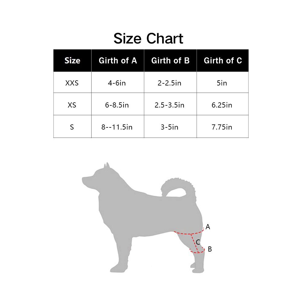 Chihuahua Leg Brace with Reflective Metal Support