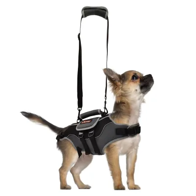 Full Body Lift Harness for Dogs 01