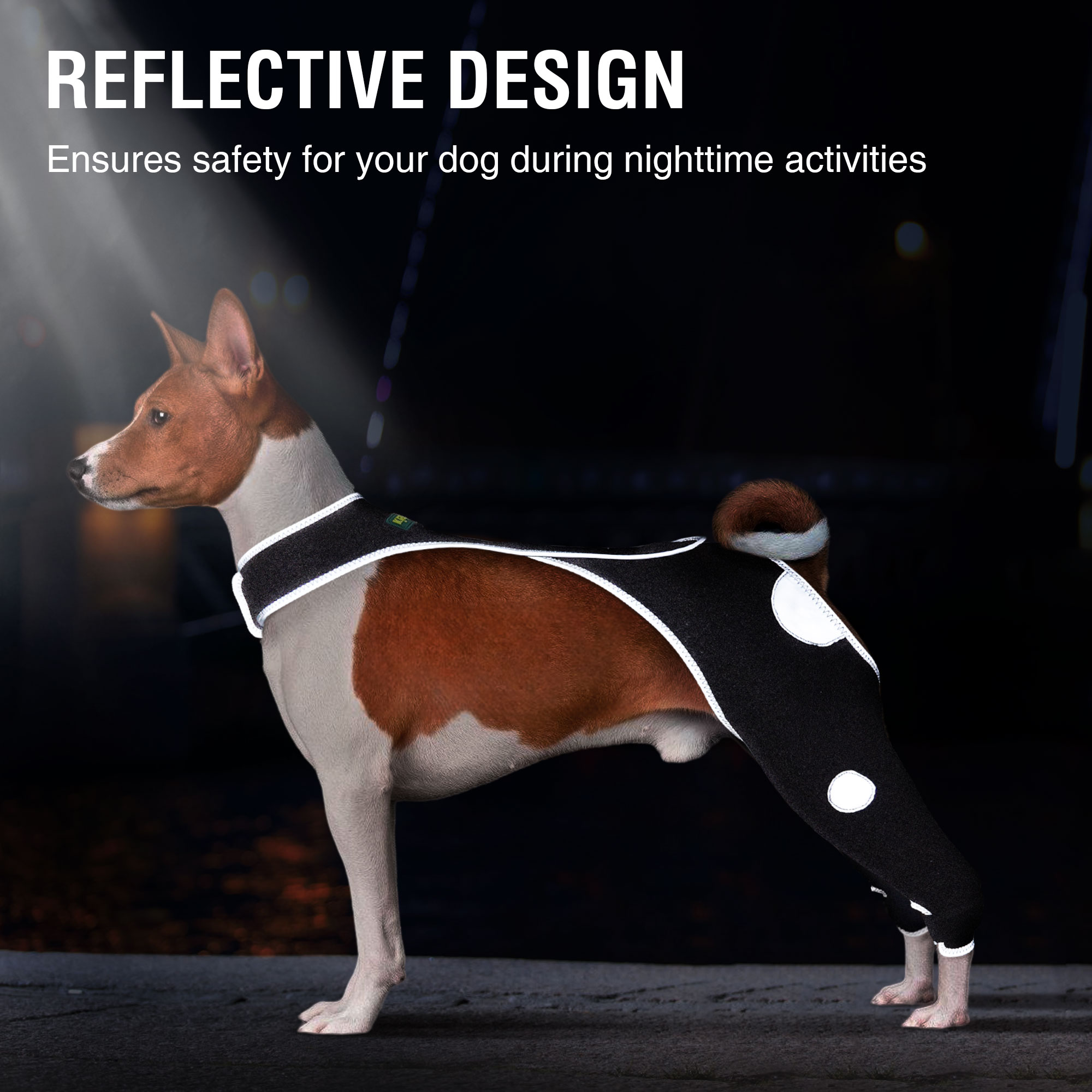 Dog Double Rear Leg Sleeves for Prevent Licking with Reflective Straps