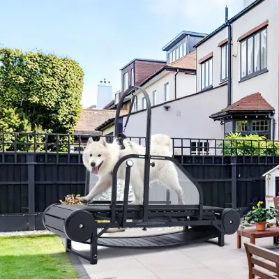 Dog Treadmill for Large/Medium Dogs Used Indoor Home Up to 300LBS 01