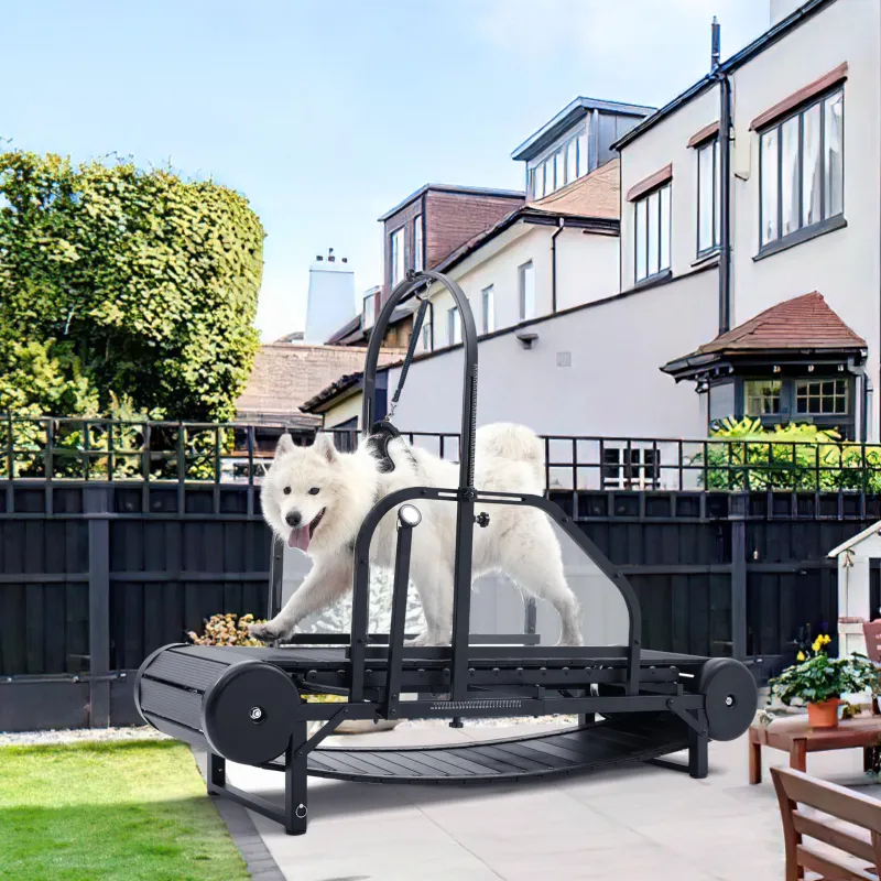 Dog Treadmill for Large/Medium Dogs Used Indoor Home Up to 300LBS