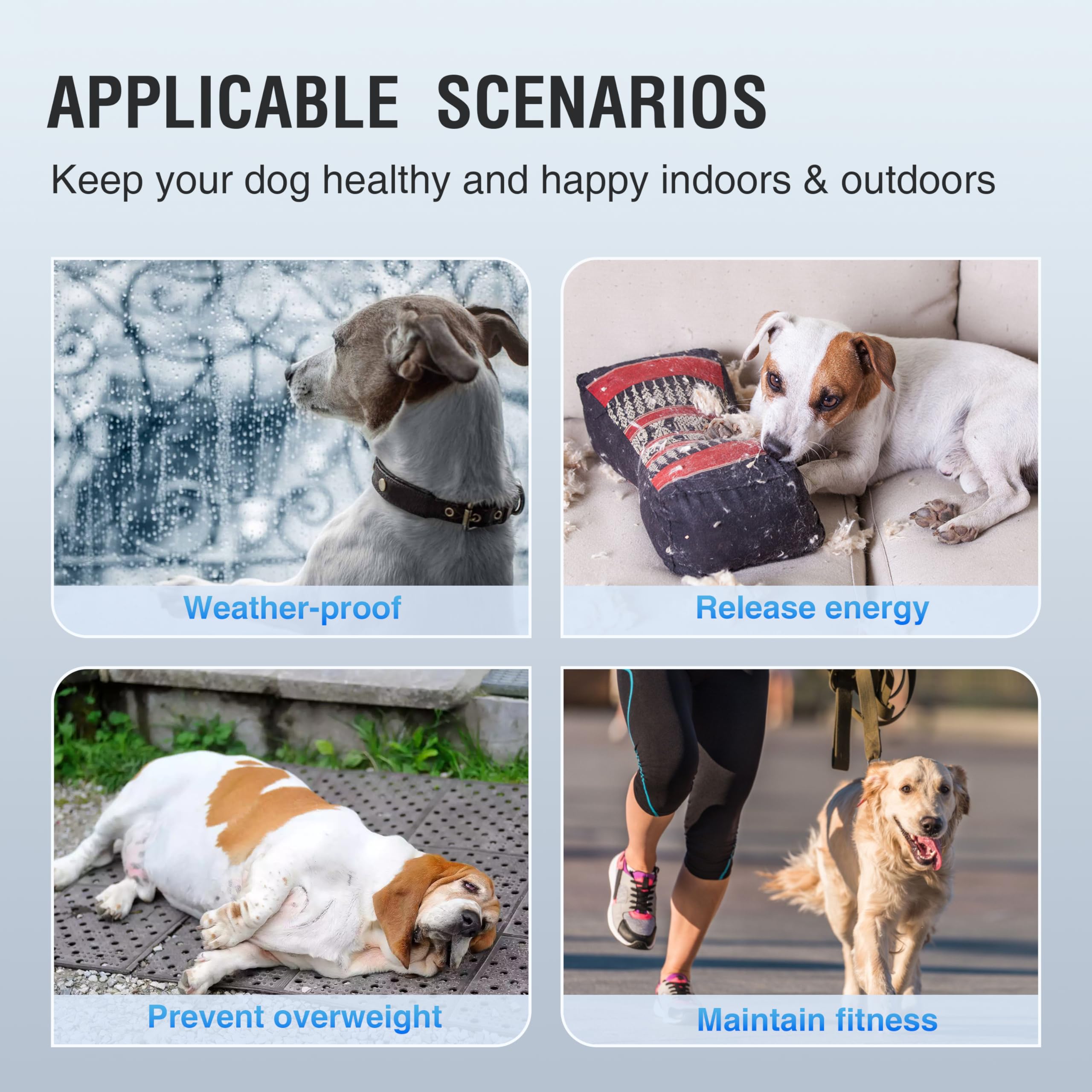 Dog Treadmill for Large/Medium Dogs Used Indoor Home Up to 300LBS