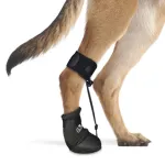 LISPOO Dog Paw Protection Boots