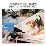 Full Body Lift Harness for Dogs