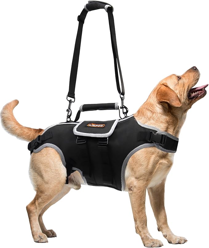 Full Body Lift Harness for Dogs