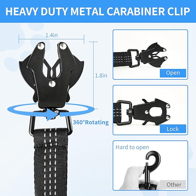 Highly Reflective Stretch Dog Leash