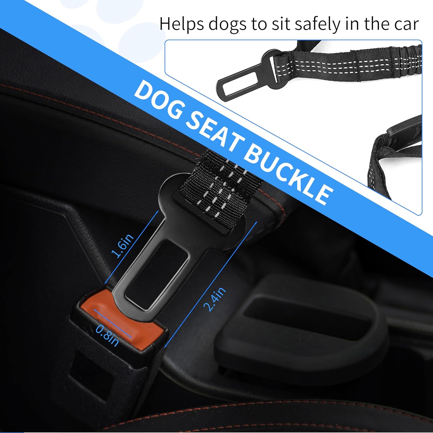 Highly Reflective Stretch Dog Leash