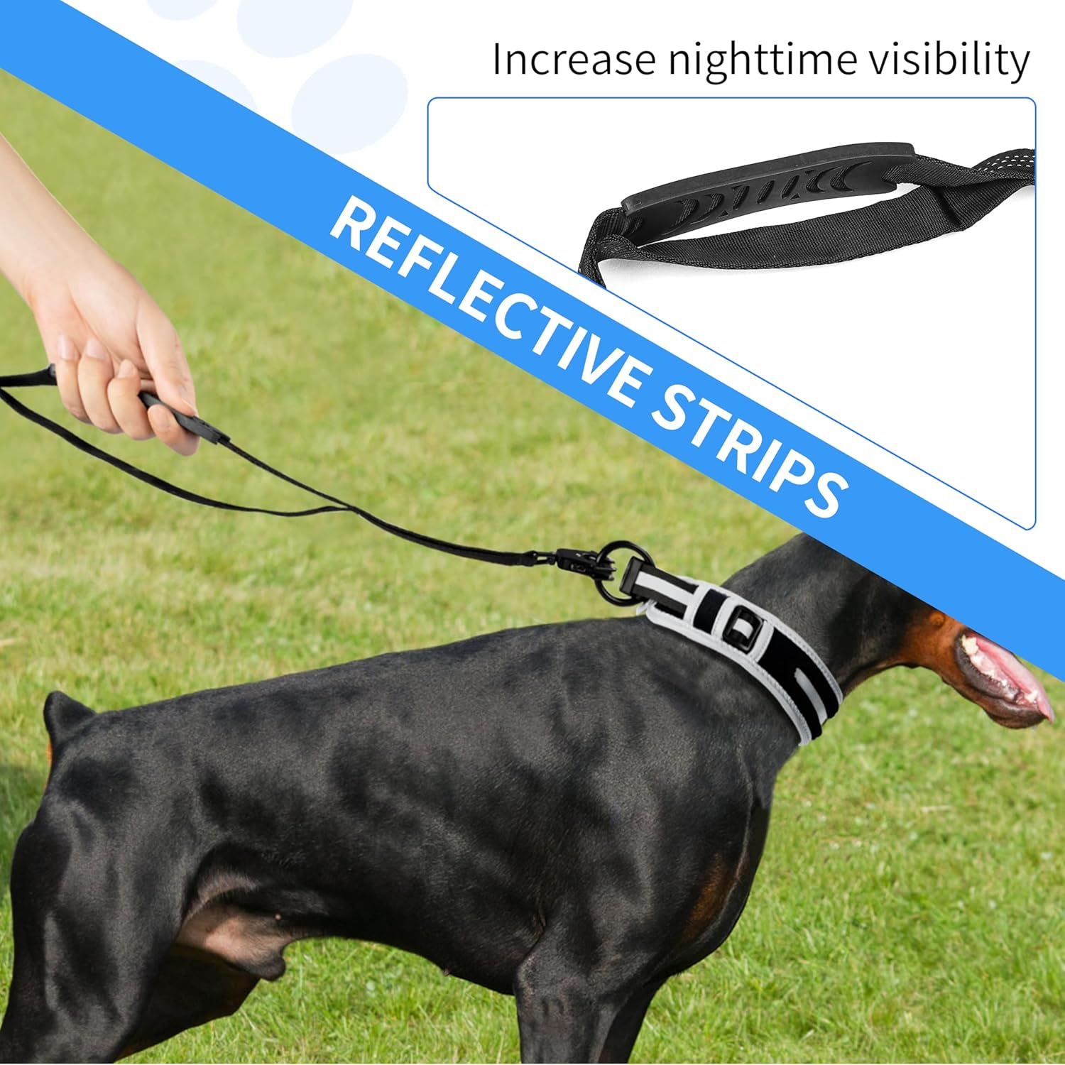 Highly Reflective Stretch Dog Leash