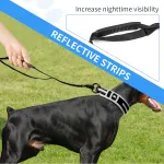 Highly Reflective Stretch Dog Leash